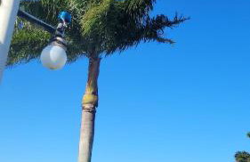 Casa térrea em Condomínio Araruama - Foto 57