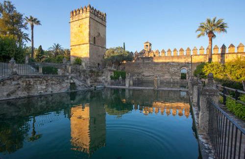 Villa ALJARAL, Espectacular,piscina,chimenea, climatización, wifi - Foto 68