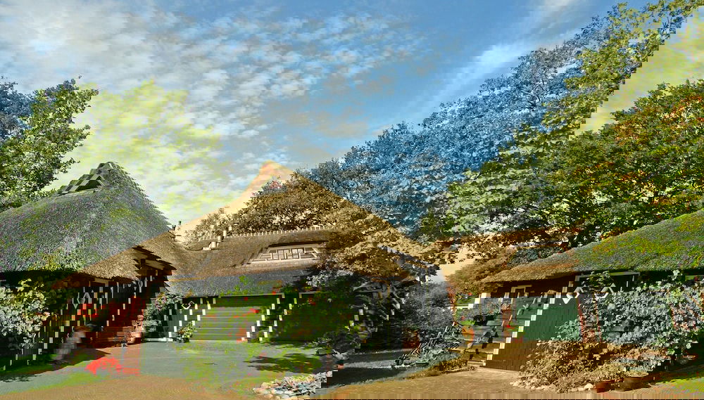 Farmhouse in Balkbrug With Sauna - Foto 1, Profilbild