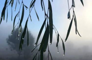 Tiny House - mountain views close to everything - Foto 23