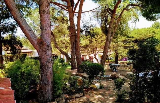 TOTTAM EXPERIENCE - Foto 66