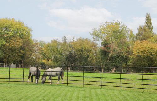 Grove Farm - Foto 68