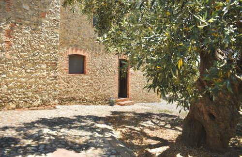Azienda Agrituristica Le Puzelle - Foto 11