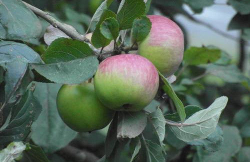 Etxeberri Landa Etxea - Foto 22