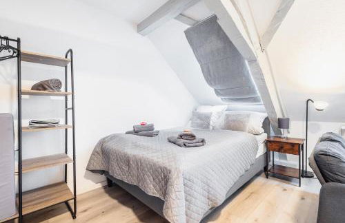 Haus Saarburg Innenstadt Bleser Appartements - Foto 6