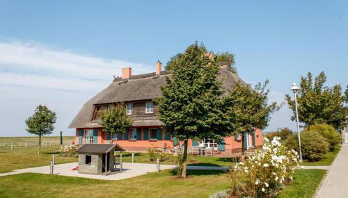 Rügen-Ferienhof - Foto 3