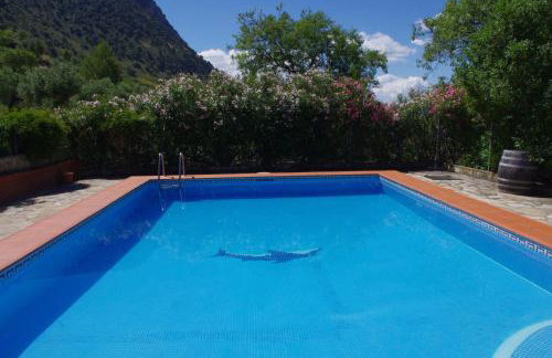 Finca Barreras - Photo 26