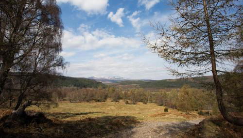 Juniper Hill, Loch Achilty - Foto 3
