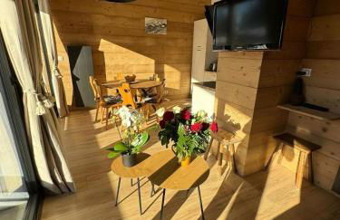 Appartement le StelO Les Gets 6 personnes aux pieds des pistes 2 chambres - Foto 6