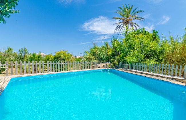 Hort De Can Bou in Porreres - Foto 5