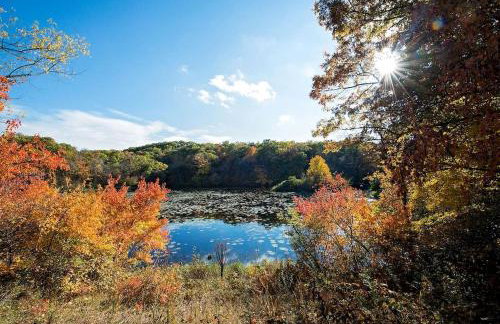 Lakefront Cottage Fully Equipped with Excellent Location in Saint Croix Falls, Wisconsin - Foto 29
