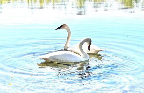 Serene Four Bedroom Lakefront Home - Foto 43