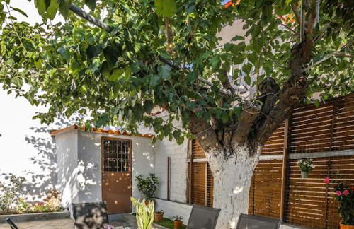 Filoxenia Pagonis - Foto 11