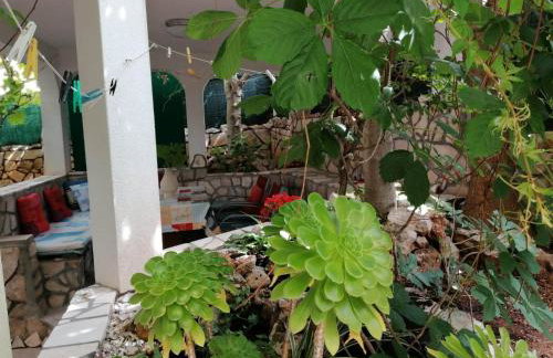 Apartments Misini Dvori - Foto 51