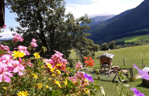 Vorderponholz Ferienwohnungen - Foto 11