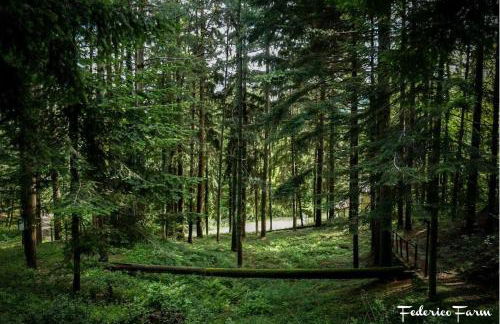 La Casa del Sarto - FedericoFarm - Foto 47