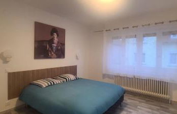 Strasbourg Centre Historique 15 mn en Tram et Aéroport Parking gratuit - Foto 8