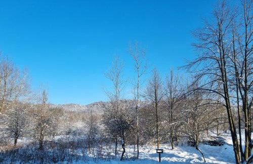 Apartament Wyspiański - Foto 58