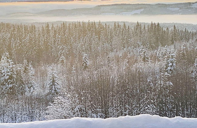 4 Star Holiday Home in Fall-by Traum - Foto 14