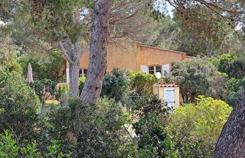 BASTIDE PRESQU ILE DE GIENS SUPERBE VUE MER PISCINE - Photo 12