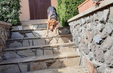 Luna e Mare - Foto 15