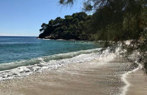 Villa les Alizés - Foto 44