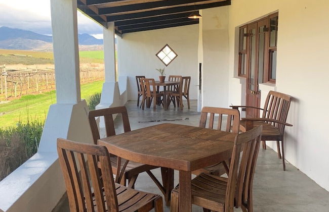 Endless Vineyards at Wildekrans Wine Estate - Photo 14