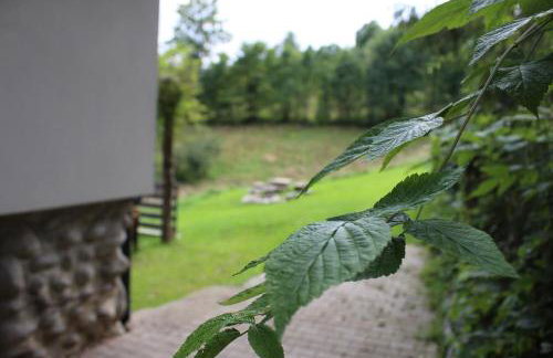 Apartamenty Świstak Maciej Dunajczan - Foto 42