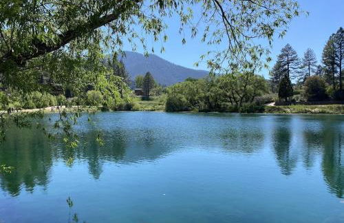 Quail Run Cabin 4,000 Sq.Ft Largest & Most Beautiful House On The Mountain - Foto 52