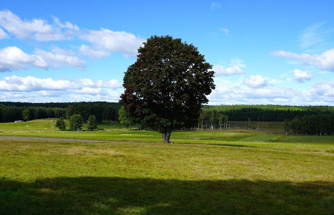 4 Person Holiday Home in Hogsjo-by Traum - Foto 12