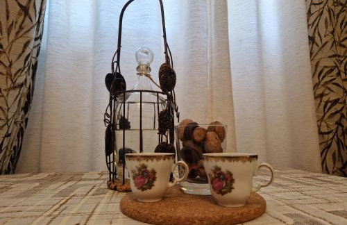 Sobe i apartmani Tena - Foto 33