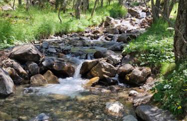 Les orres 1800 - Photo 15