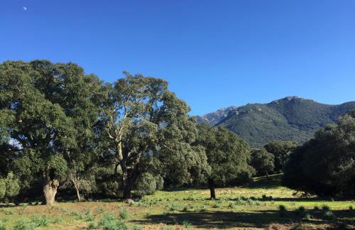 Maison de campagne, deux chambres, vue sur les montagnes - Foto 8