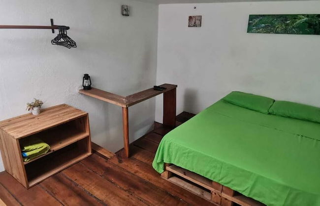 parrot house san antonio - Photo 4