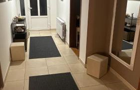 Apartman Staro Petrovo Selo - Foto 4