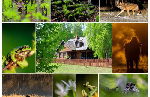 Apartament Jasińskiego z ogrodem - Foto 28