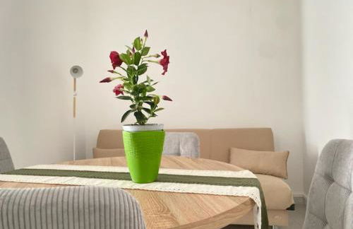 Astra Solea - Photo 24