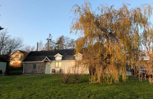 Lletty Ann wynn at Fraithwen Cottages - Foto 14