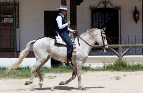 Villa Luz Deluxe - Foto 21