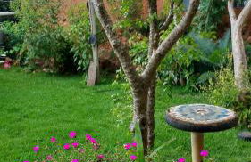 house in the Garden - Foto 23