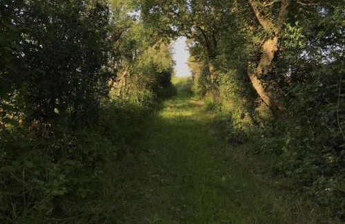 The Old Stables at Bradley's Farm - Foto 18