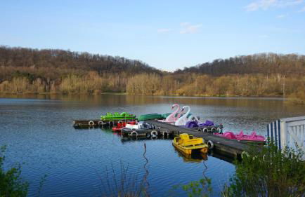 Ferienwohnung im Harz 1 - Foto 15
