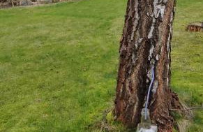 Apartament u Źródła - Foto 37