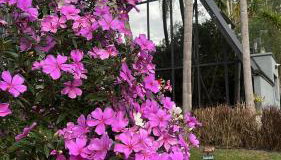 Cabana Sabá - Photo 3, Garden