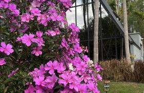 Cabana Sabá - Photo 3