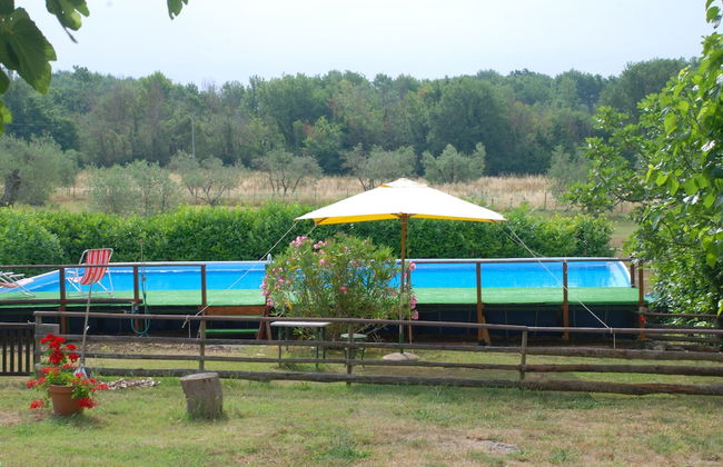 Silence and Relaxation in Countryside of Umbria - Photo 13