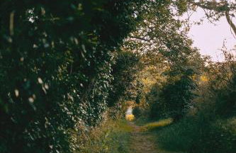 Maisons Bodenn - Lesconil - Foto 15
