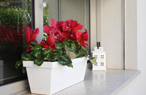 CN005 - Cesenatico, nuova villetta singola con corte esterna - Foto 39