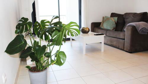 Apartment with terrace Albufeira Olhos de Água - Foto 4