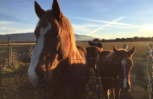 La Casona de Requijada a 6km de Pedraza con Piscina - Foto 40